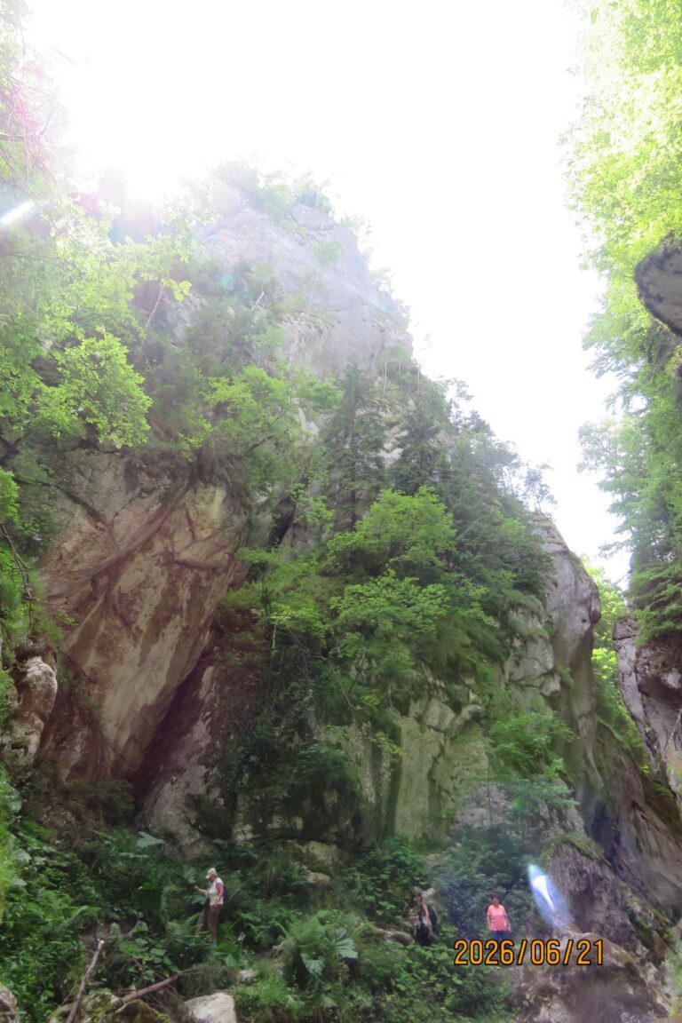Summer Solstice Mountains