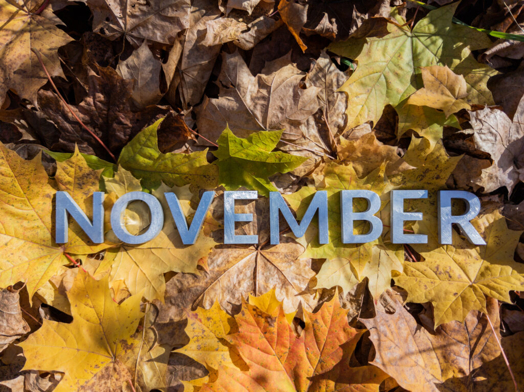 Diana Cooper’s November 2026 Newsletter Diana Cooper’s November 2026 Newsletter